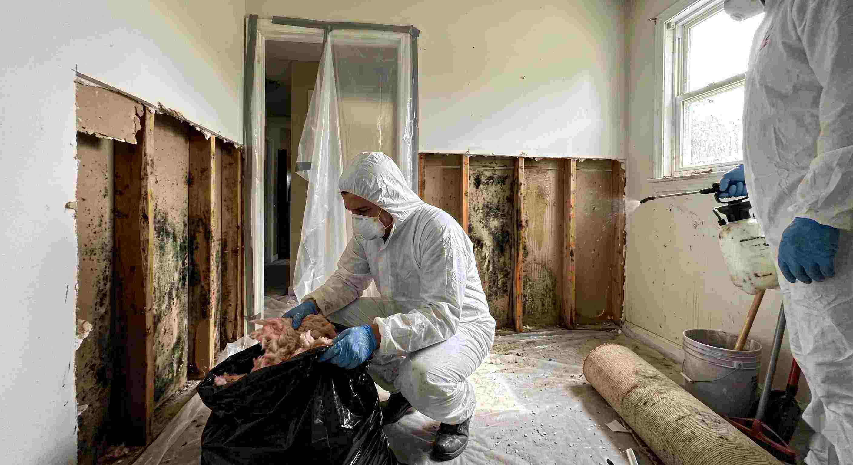 Local mold remediation services removing mold behind wall in home in Batavia